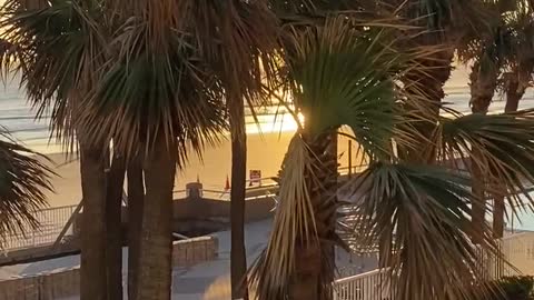 "Good Morning" Daytona Beach