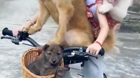 Funny Girl with Dog and Puppy