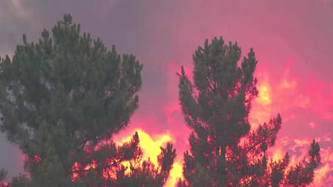 Wildfires rages throughout the night in Central Portugal