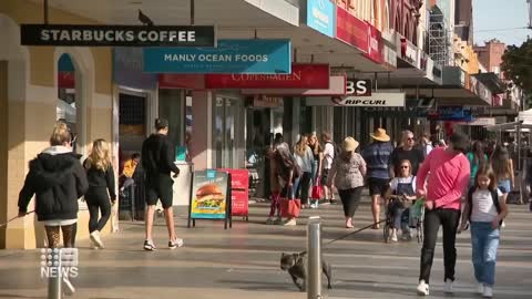 More than 4000 homes without power on Sydney's Northern Beaches | 9 News Australia