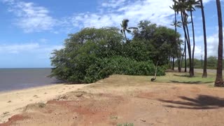 Kaunakakai, HI — Kakahai'a Beach Park