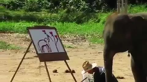 A 4 Year Old Elephant Painting A Picture Of Herself #shorts #viral #shortsvideo #video