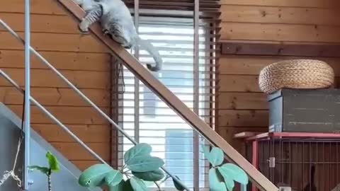 Best way to get down from steps