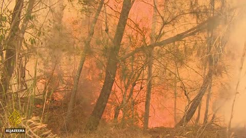 Australia warned of 'more frequent and intense' natural disasters