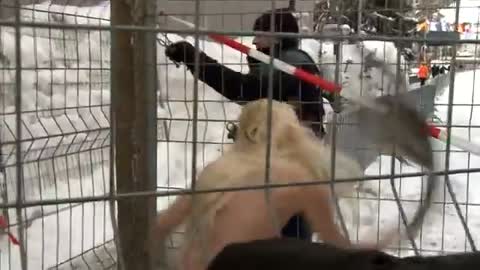 FEMEN protesters at World Economic Forum event in Davos, Switzerland