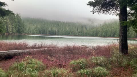 Exploring the Forest Shoreline – Mount Hood National Forest – Oregon – 4K