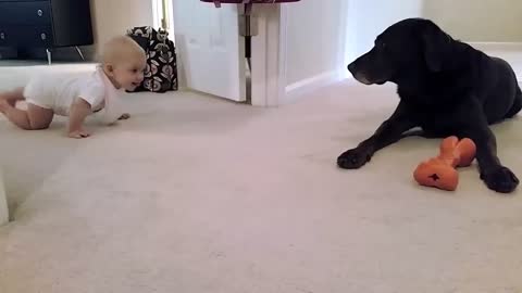 Baby's first crawl with her dog... what a cute ending!