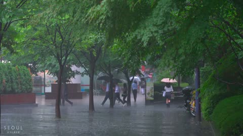 200mm Water Bomb Hit Seoul Flooding Many Places Rain Drop Sounds 4K HDR