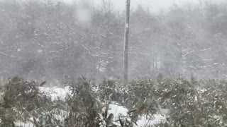 Blowing snow hits Hokkaido as several killed amid Japan winter weather