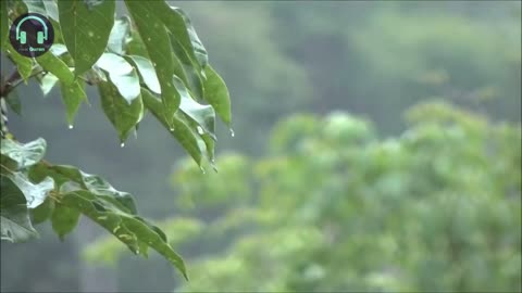 Relaxing reading Quran to the sound of rain