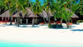 10 Unique Things to Do in Maldives! 🏝️😍