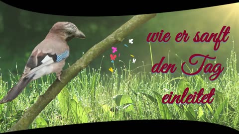 Guten Morgen Gruß für Dich - lausche den Stimmen des Morgens🌞💖😊