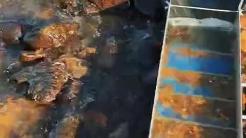 Panning for gold in a river