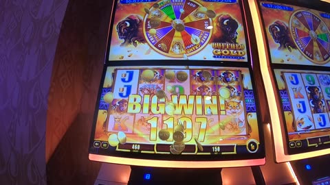 Buffalo Gold Revolution Slot Machine Play Bonuses Free Games Fun!