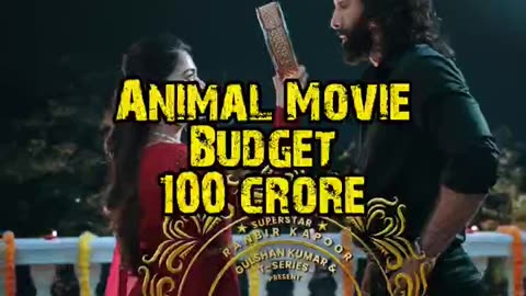 Animal Vs Jawan Box Office Collection