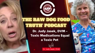 Dr. Judy Jasek, DVM - Toxic Medications Equal a Toxic Pet