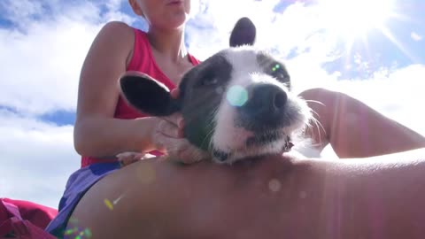 Woman Playing with Dog Snout Outdoors