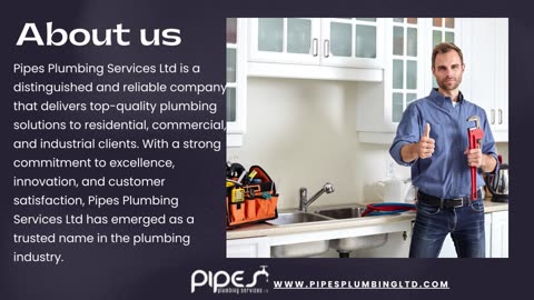Pipes Plumbing Services Ltd: Your Reliable Choice for Top-notch Commercial Plumbing in Edmonton