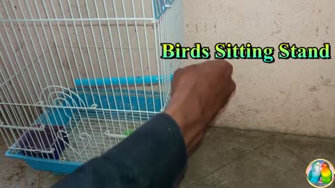 BEST Carrying Cage for Birds __ Bird Aviaries __ Bird Transport Cage __ Small Bi