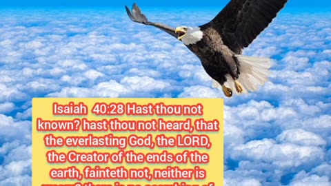 Joseph Martelli jjm7777 Wait on the Lord Jesus and you will mount up with wings as eagles