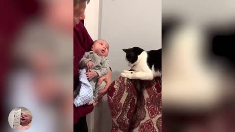 Baby & Cats Moment (Cute)