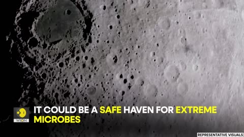 NASA scientist admits that the Moon 'might already have life on it'