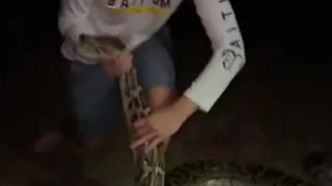 That's big snake !!!!!