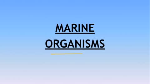 Environment and Ecology Lecture 9.1 - Marine Organisms