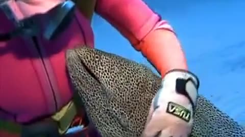 Diver befriends a Moray Eel