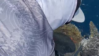 Fishermen Help Tangled Sea Turtle