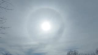 #2 3rd day in a row Bryan Texas 2/19/23 Halo
