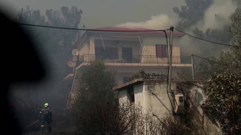 Wildfire burns coastal homes, businesses, on Lesbos
