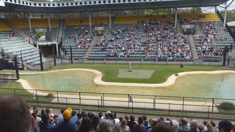 Steve Irwin Australia Zoo and Croc Hunter Show Part 1