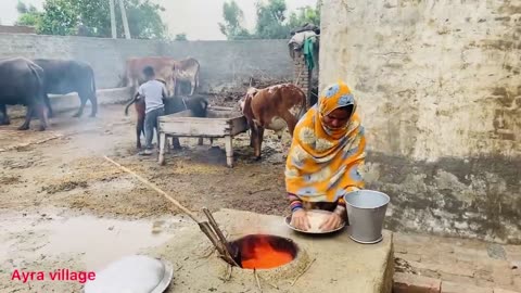 Garmiyon Ki tufani Barish 🌧️ || Puri Basti Ko Khatre Mein || Village Life || Village Vlog