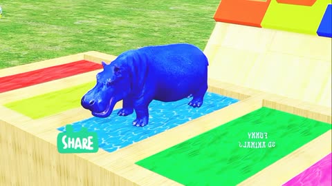 Long Slide Game With Elephant Gorilla Buffalo Hippopotamus Tiger - 3d Animal Game