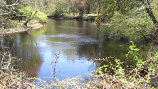 Gently Whirling Water