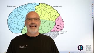 Unlock Brain Health Secrets: Dr. Andy Barlow Explains Neurological Function & Neurodegeneration
