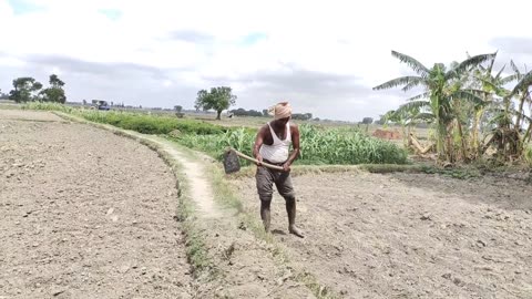 This Is Uttar Pradesh Life In India || Happiness Life in Indian Villagers || Indian Real Village...