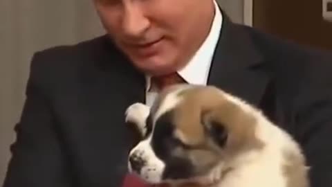 Putin love dogs Russia president