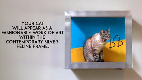 Frame Your Feline: 'Contemporary Silver' Feline Frame