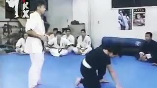 Karate Vs. Kung Fu