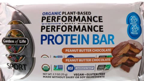 Garden of Life Sport Organic Plant-Based Performance Protein Bar Peanut
