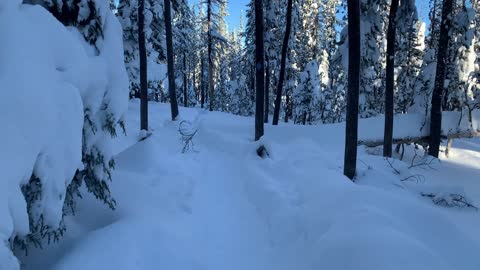3X Triple Speed Hiking in a Winter Wonderland – Central Oregon – Swampy Lakes Sno-Park