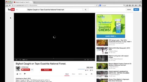 Bigfoot Caught on Tape Ouachita National Forest Breakdown