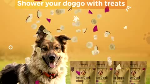 Dogsee Chew Veg - The Safest Natural Veggie Treats for Dogs