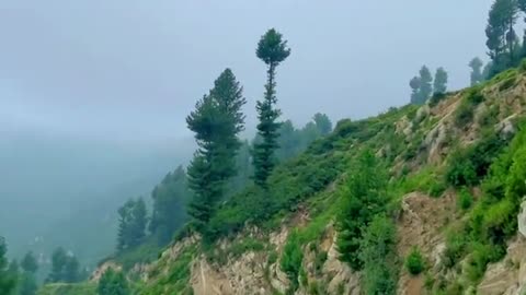 Exploring the Enchanting Natural Beauty of Pakistan: A Visual Journey