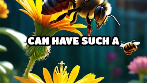 How Bees Talk: The Intricate World of Bee Communication