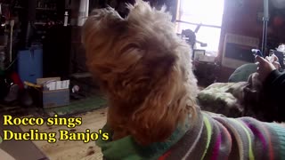 Rocco Dog sings Dueling Banjos