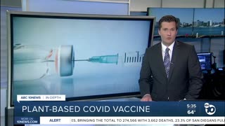 In-depth： plant-based COVID vaccine