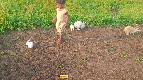 Rabbit and kids